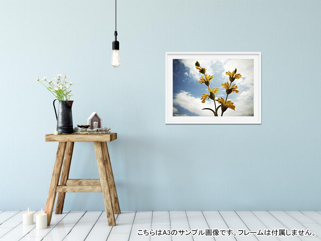 ポステッカー ポスター ウォールステッカー シール式ステッカー 飾り 1030mm 1456mm B0 写真 フォト 壁