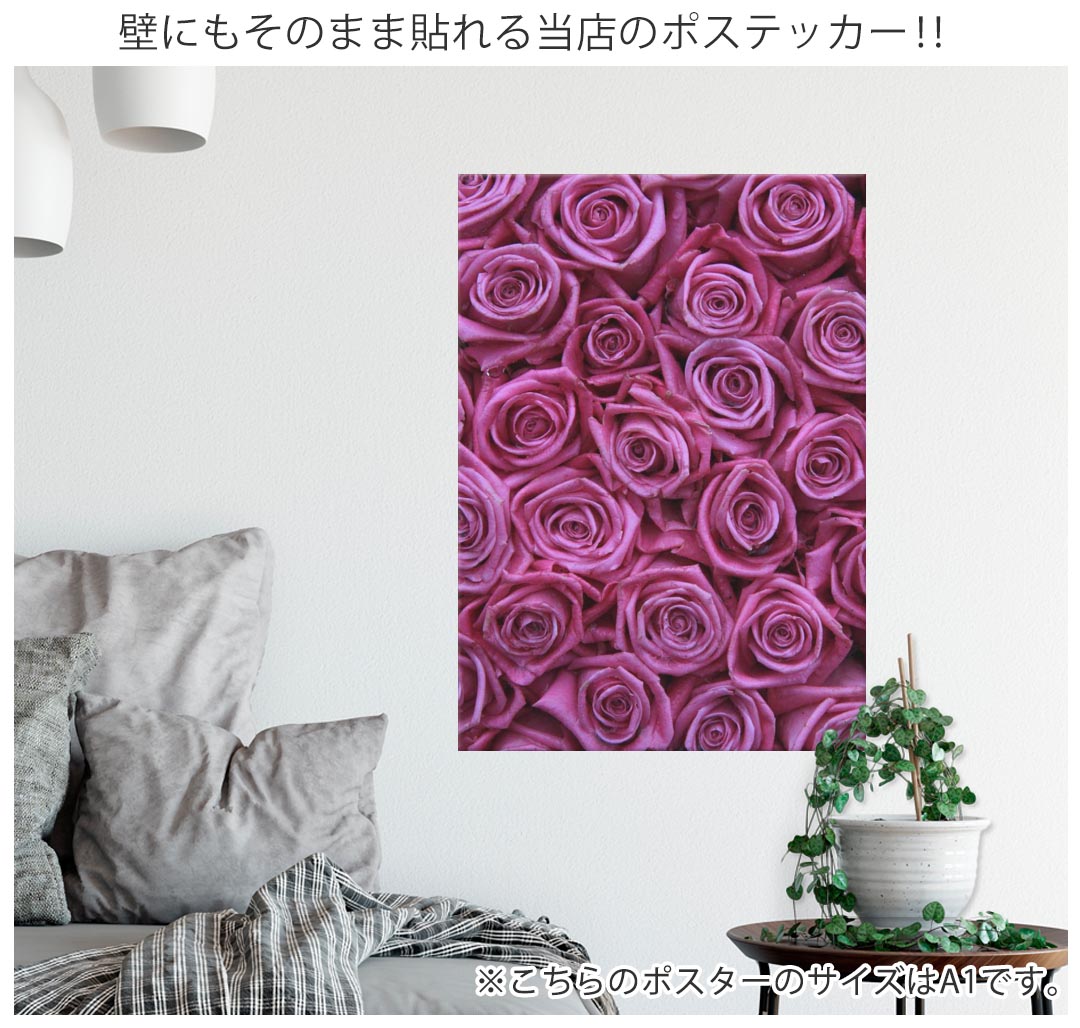 楽天市場 ポスター ウォールステッカー シール式ステッカー 飾り 60 60cm Msize 正方形 壁 インテリア おしゃれ 剥がせる Wall Sticker Poster 薔薇 紫 写真 Kabeコレ