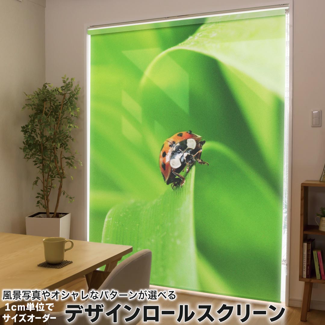 1cm単位サイズオーダー ロールスクリーン ロールカーテン オーダーメイド タチカワ 日本製 間仕切り カーテン 採光 非遮光 目隠し UVカット カーテンレール チェーン式 プル式 001144 アニマル てんとう虫　草