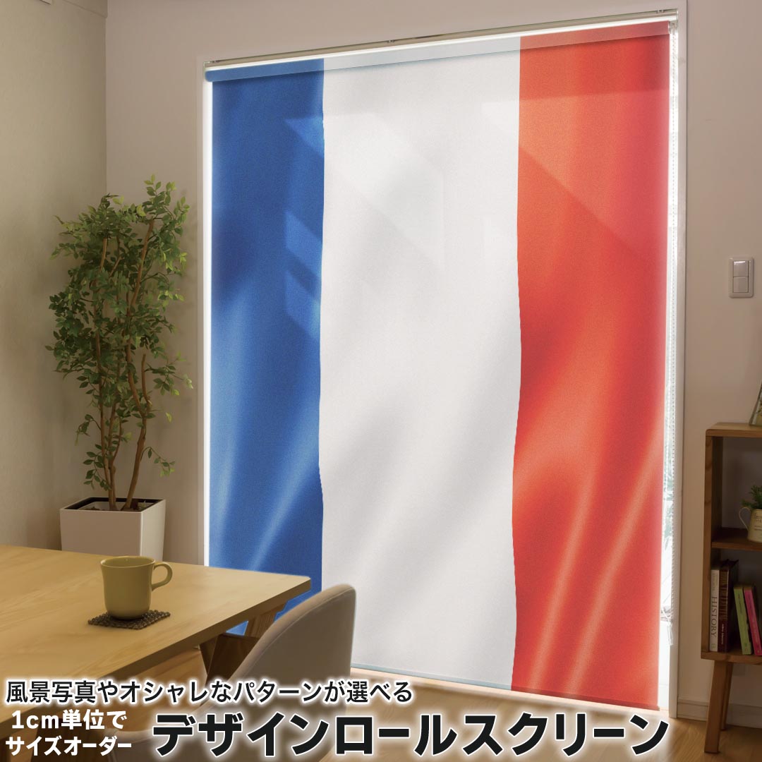 1cm単位サイズオーダー ロールスクリーン ロールカーテン オーダーメイド タチカワ 日本製 間仕切り カーテン 採光 非遮光 目隠し UVカット カーテンレール チェーン式 プル式 001184 ユニーク その他 フランス　国旗