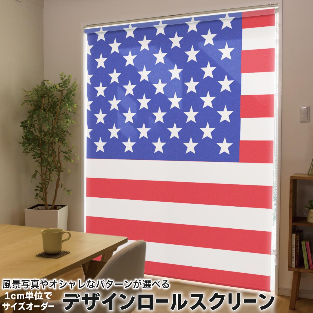 1cm単位サイズオーダー ロールスクリーン ロールカーテン オーダーメイド タチカワ 日本製 間仕切り カーテン 採光 非遮光 目隠し UVカット カーテンレール チェーン式 プル式 001207 その他 ユニーク アメリカ　国旗