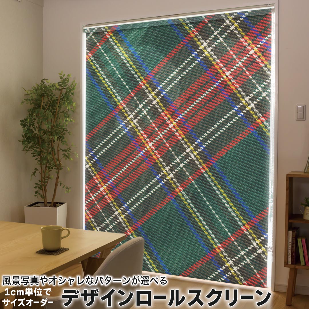 1cm単位サイズオーダー ロールスクリーン ロールカーテン オーダーメイド タチカワ 日本製 間仕切り カーテン 採光 非遮光 目隠し UVカット カーテンレール チェーン式 プル式 001628 チェック・ボーダー チェック