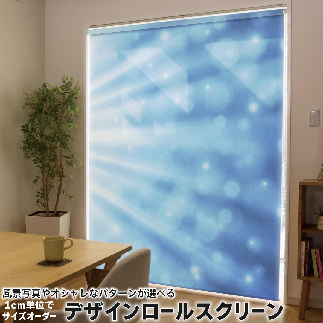 1cm単位サイズオーダー ロールスクリーン ロールカーテン オーダーメイド タチカワ 日本製 間仕切り カーテン 採光 非遮光 目隠し UVカット カーテンレール チェーン式 プル式 002160 クール シンプル　青 9,060円