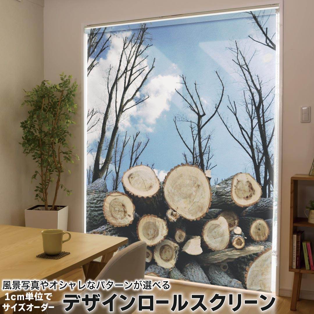 1cm単位サイズオーダー ロールスクリーン ロールカーテン オーダーメイド タチカワ 日本製 間仕切り カーテン 採光 非遮光 目隠し UVカット カーテンレール チェーン式 プル式 002647 写真・風景 景色　風景　写真