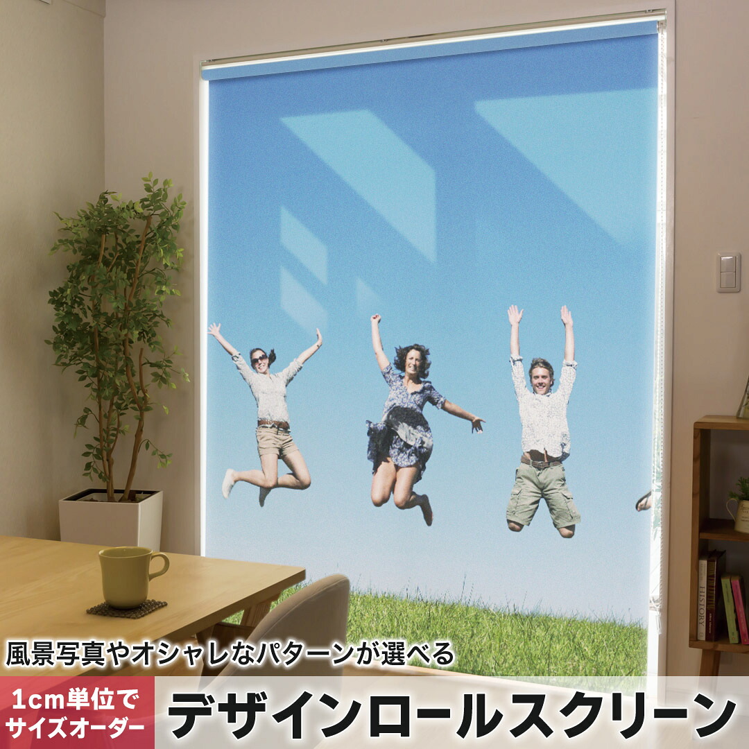 1cm単位サイズオーダー ロールスクリーン ロールカーテン オーダーメイド タチカワ 日本製 間仕切り カーテン 採光 非遮光 目隠し UVカット カーテンレール チェーン式 プル式 002743 チェック・ボーダー 人物　外国人　写真