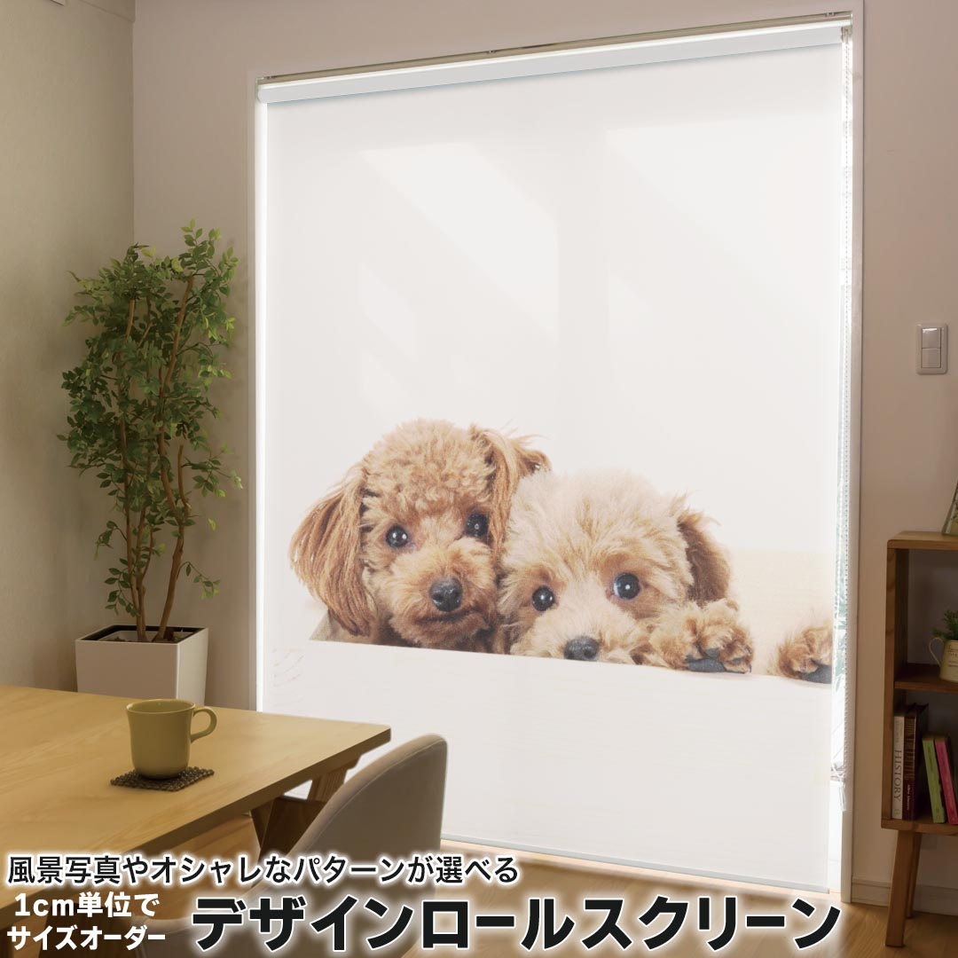 1cm単位サイズオーダー ロールスクリーン ロールカーテン オーダーメイド タチカワ 日本製 間仕切り カーテン 採光 非遮光 目隠し UVカット カーテンレール チェーン式 プル式 002770 アニマル 犬 動物 写真