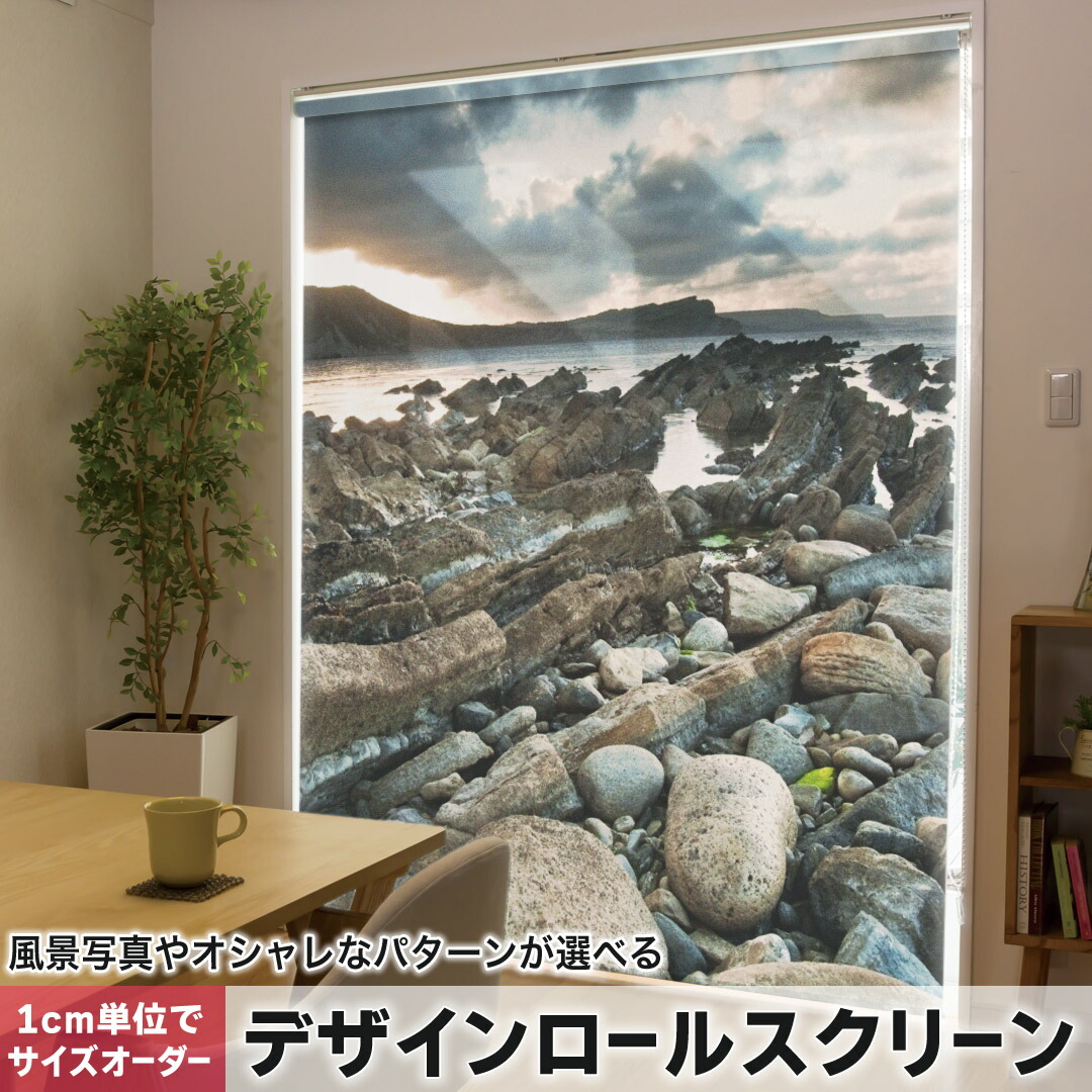 1cm単位サイズオーダー ロールスクリーン ロールカーテン オーダーメイド タチカワ 日本製 間仕切り カーテン 採光 非遮光 目隠し UVカット カーテンレール チェーン式 プル式 003281 その他 クール 写真・風景 外国　写真　景色　風景