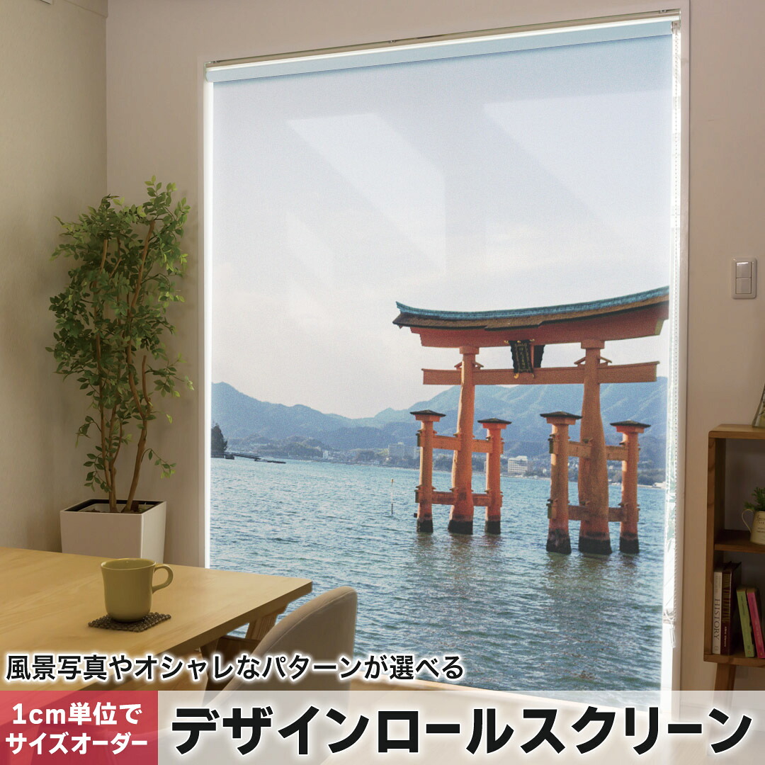 1cm単位サイズオーダー ロールスクリーン ロールカーテン オーダーメイド タチカワ 日本製 間仕切り カーテン 採光 非遮光 目隠し UVカット カーテンレール チェーン式 プル式 003288 写真・風景 その他 クール 写真　景色　風景