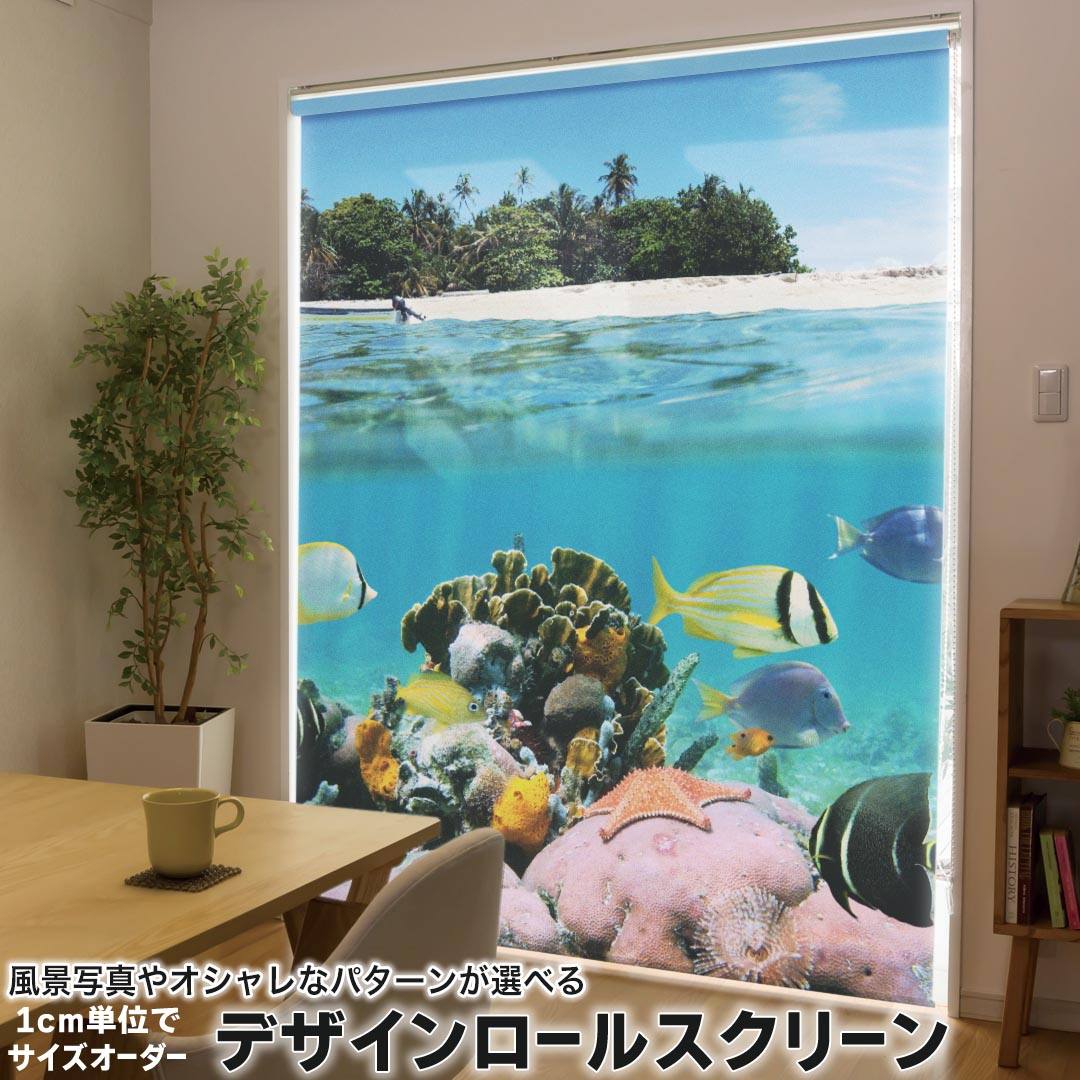 1cm単位サイズオーダー ロールスクリーン ロールカーテン オーダーメイド タチカワ 日本製 間仕切り カーテン 採光 非遮光 目隠し UVカット カーテンレール チェーン式 プル式 003328 クール 写真・風景 海　外国　写真　景色