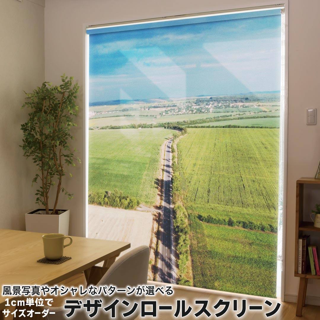1cm単位サイズオーダー ロールスクリーン ロールカーテン オーダーメイド タチカワ 日本製 間仕切り カーテン 採光 非遮光 目隠し UVカット カーテンレール チェーン式 プル式 033616 田園 風景