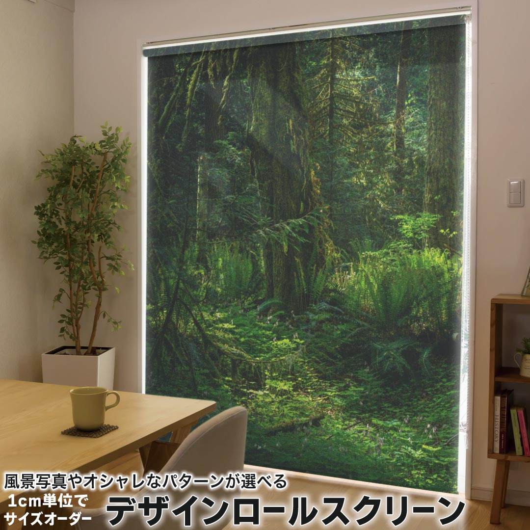 1cm単位サイズオーダー ロールスクリーン ロールカーテン オーダーメイド タチカワ 日本製 間仕切り カーテン 採光 非遮光 目隠し UVカット カーテンレール チェーン式 プル式 033720 雑木林 森林