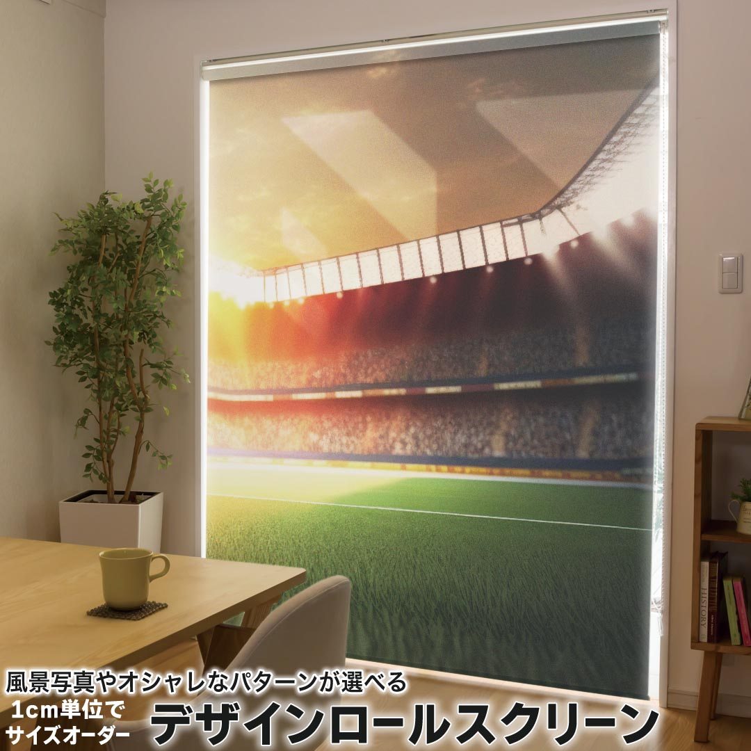 1cm単位サイズオーダー ロールスクリーン ロールカーテン オーダーメイド タチカワ 日本製 間仕切り カーテン 採光 非遮光 目隠し UVカット カーテンレール チェーン式 プル式 033819 球場 ドーム