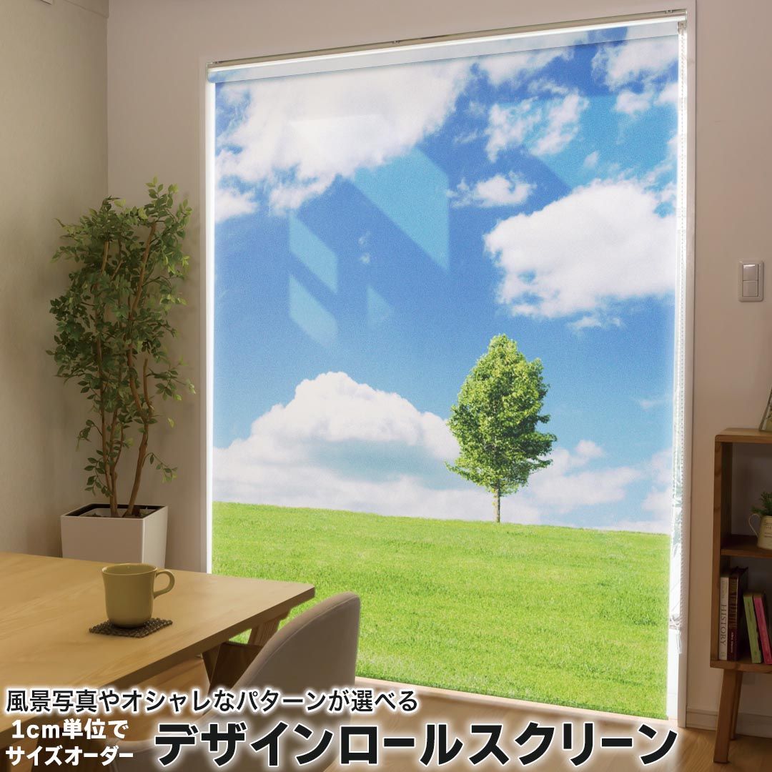 1cm単位サイズオーダー ロールスクリーン ロールカーテン オーダーメイド タチカワ 日本製 間仕切り カーテン 採光 非遮光 目隠し UVカット カーテンレール チェーン式 プル式 005883 写真・風景 写真　空　草原
