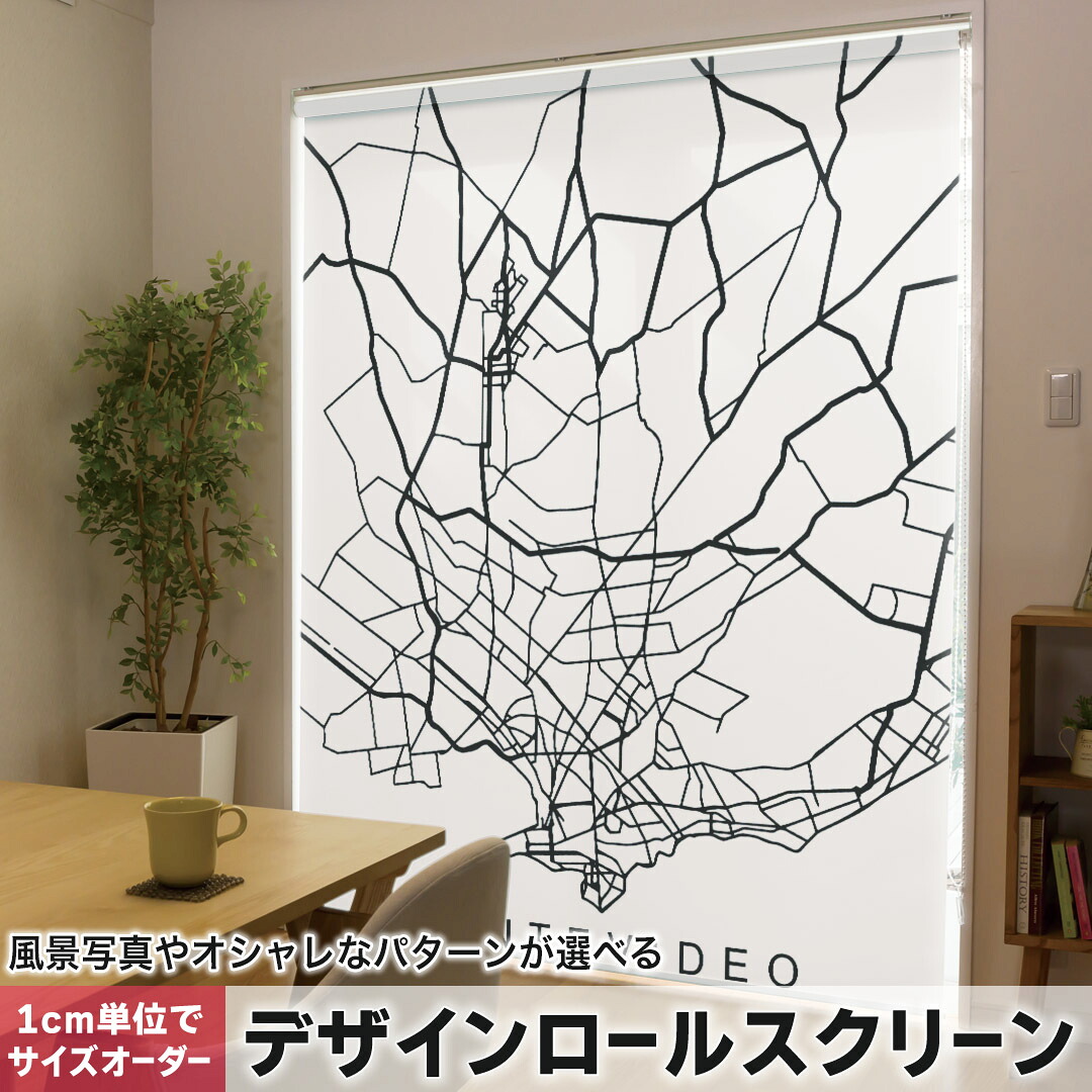 1cm単位サイズオーダー ロールスクリーン ロールカーテン オーダーメイド タチカワ 日本製 間仕切り カーテン 採光 非遮光 目隠し UVカット カーテンレール チェーン式 プル式 050149