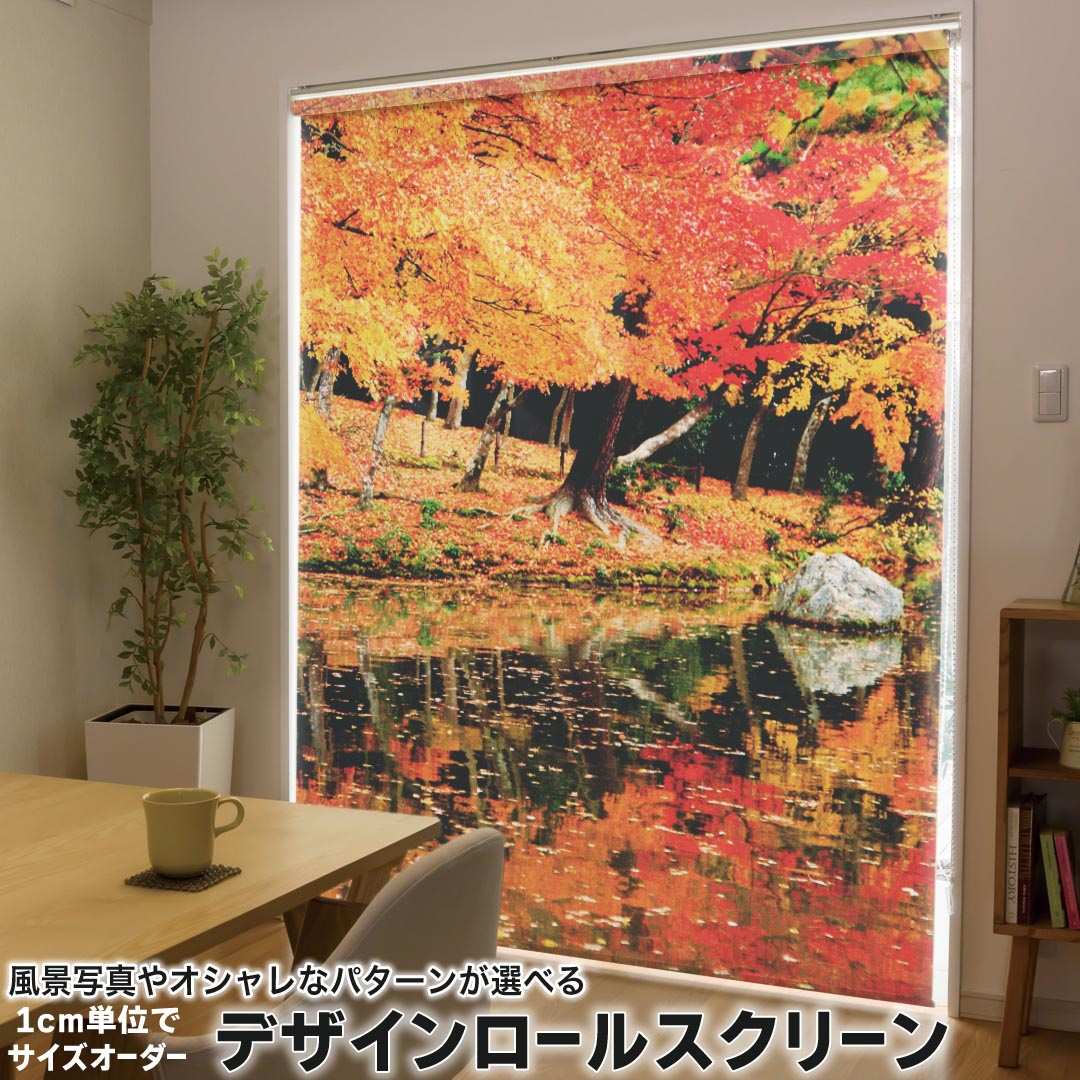 1cm単位サイズオーダー ロールスクリーン ロールカーテン オーダーメイド タチカワ 日本製 間仕切り カーテン 採光 非遮光 目隠し UVカット カーテンレール チェーン式 プル式 008505 写真・風景 写真　秋　紅葉　川