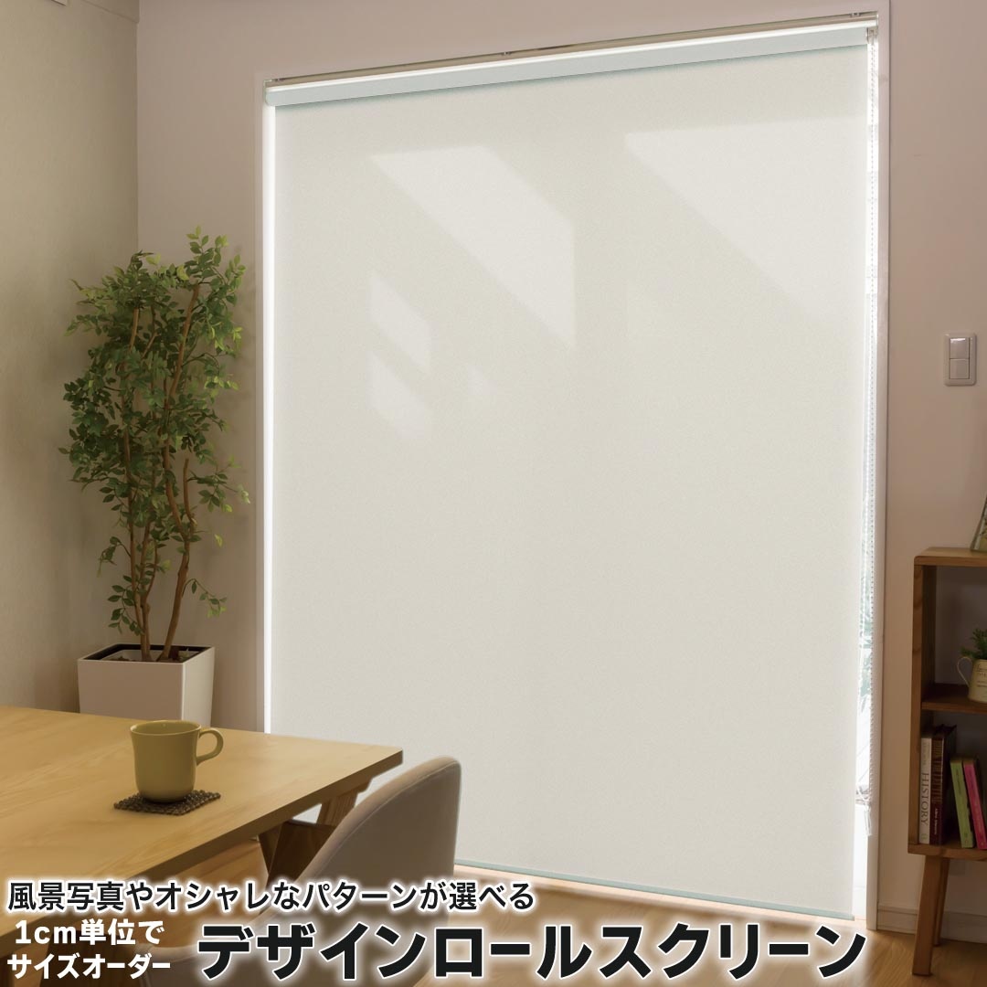 1cm単位サイズオーダー ロールスクリーン ロールカーテン オーダーメイド タチカワ 日本製 間仕切り カーテン 採光 非遮光 目隠し UVカット カーテンレール チェーン式 プル式 008964 その他 シンプル　無地　グレー