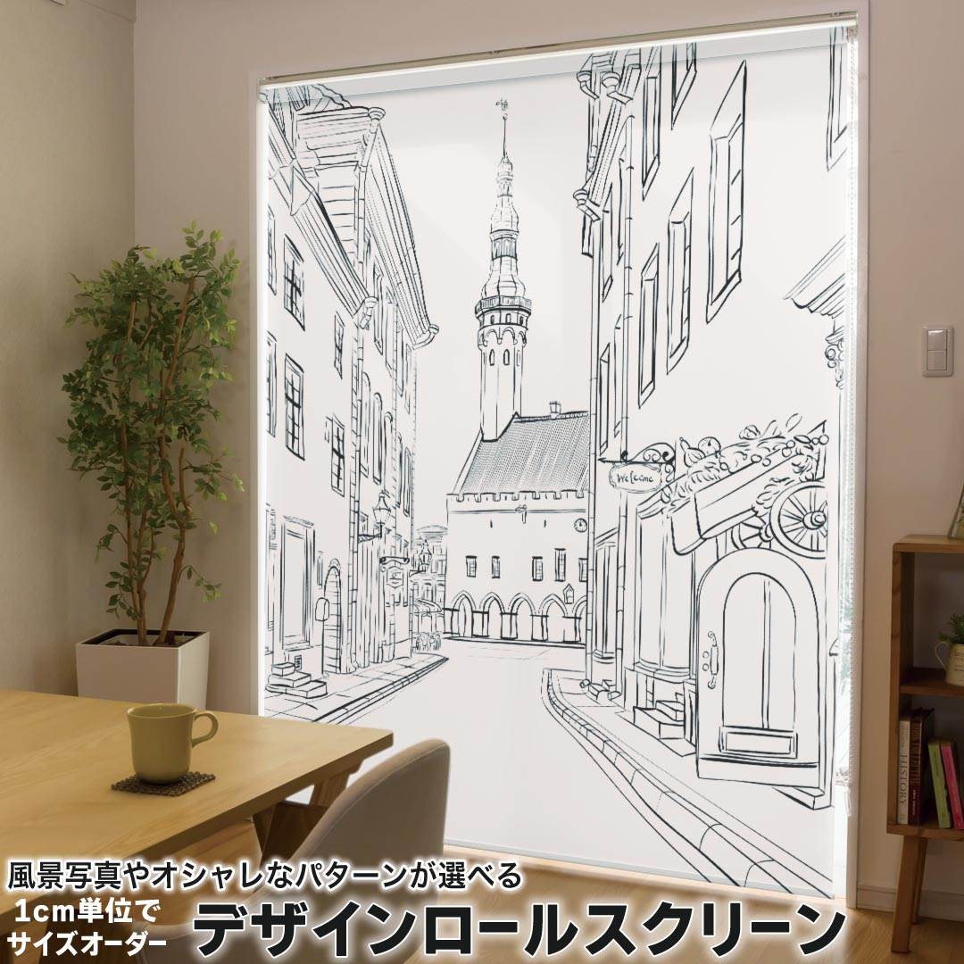 1cm単位サイズオーダー ロールスクリーン ロールカーテン オーダーメイド タチカワ 日本製 間仕切り カーテン 採光 非遮光 目隠し UVカット カーテンレール チェーン式 プル式 009942 風景　景色　白　黒 8,932円