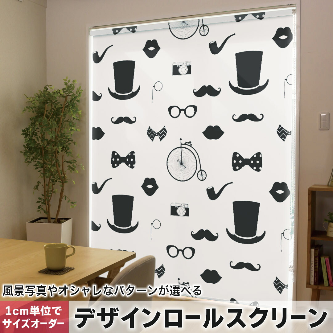 1cm単位サイズオーダー ロールスクリーン ロールカーテン オーダーメイド タチカワ 日本製 間仕切り カーテン 採光 非遮光 目隠し UVカット カーテンレール チェーン式 プル式 010505 おしゃれ　ひげ　白黒