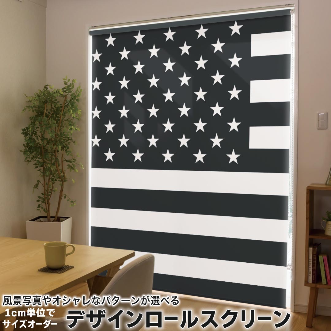 1cm単位サイズオーダー ロールスクリーン ロールカーテン オーダーメイド タチカワ 日本製 間仕切り カーテン 採光 非遮光 目隠し UVカット カーテンレール チェーン式 プル式 011558 アメリカ　外国　国旗