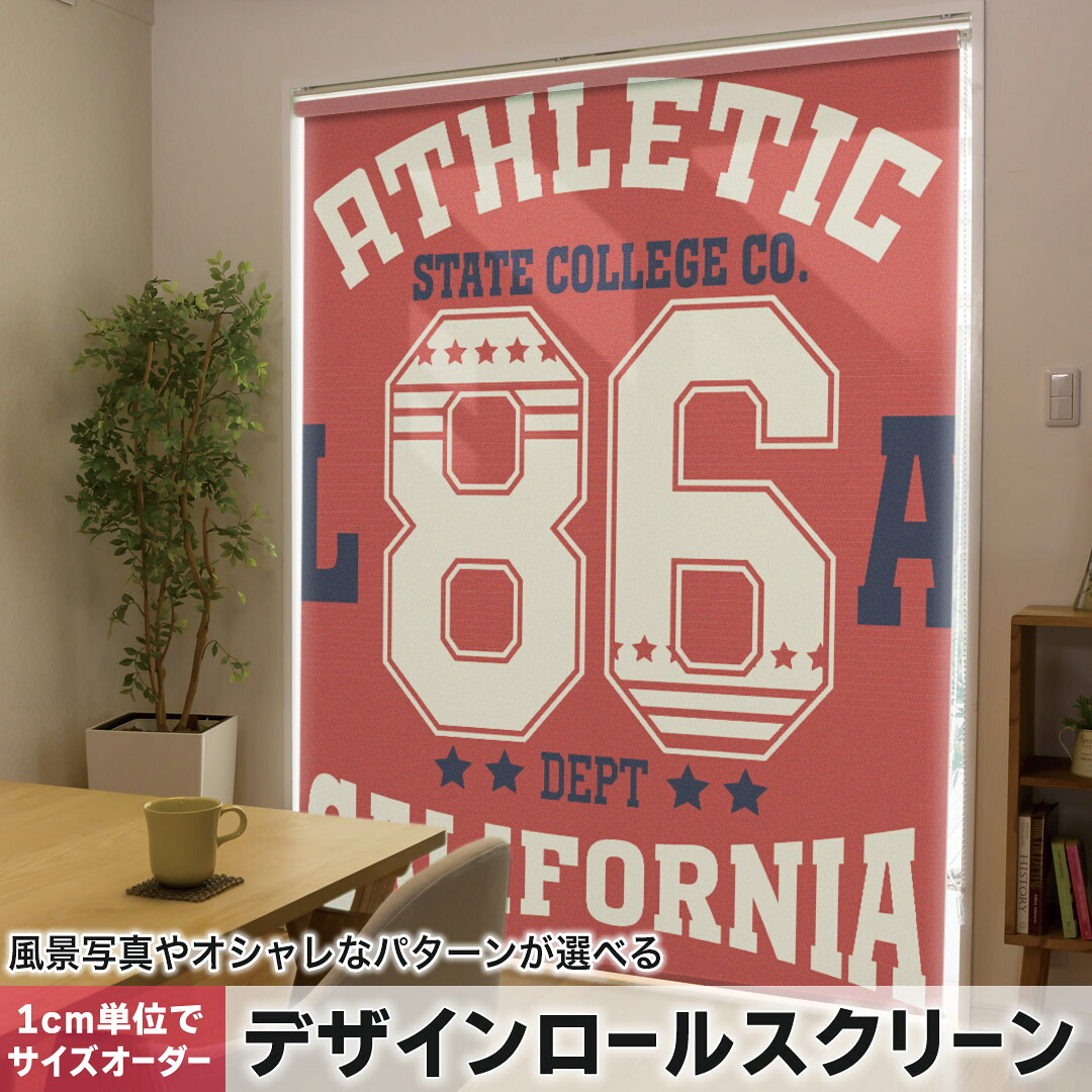 1cm単位サイズオーダー ロールスクリーン ロールカーテン オーダーメイド タチカワ 日本製 間仕切り カーテン 採光 非遮光 目隠し UVカット カーテンレール チェーン式 プル式 012014 英語　数字　ロゴ