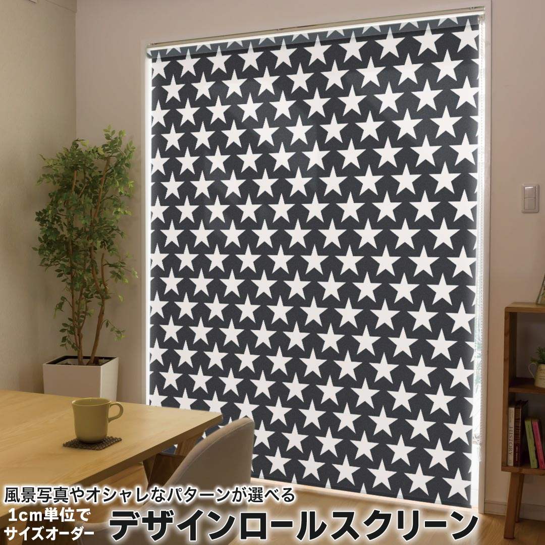 1cm単位サイズオーダー ロールスクリーン ロールカーテン オーダーメイド タチカワ 日本製 間仕切り カーテン 採光 非遮光 目隠し UVカット カーテンレール チェーン式 プル式 012624 星　スター　モノトーン