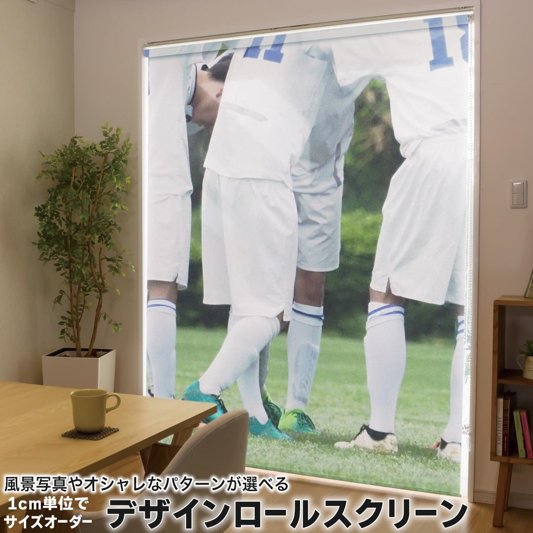 1cm単位サイズオーダー ロールスクリーン ロールカーテン オーダーメイド タチカワ 日本製 間仕切り カーテン 採光 非遮光 目隠し UVカット カーテンレール チェーン式 プル式 014843 野球　運動