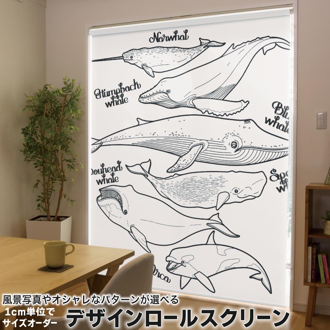 1cm単位サイズオーダー ロールスクリーン ロールカーテン オーダーメイド タチカワ 日本製 間仕切り カーテン 採光 非遮光 目隠し UVカット カーテンレール チェーン式 プル式 016163 魚　モノクロ