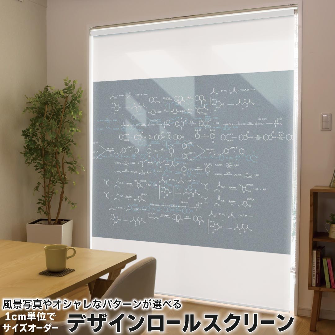 1cm単位サイズオーダー ロールスクリーン ロールカーテン オーダーメイド タチカワ 日本製 間仕切り カーテン 採光 非遮光 目隠し UVカット カーテンレール チェーン式 プル式 017701 化学式 Chemical formula 化学式