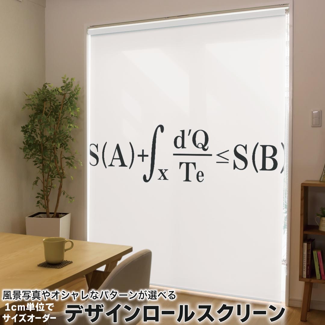 1cm単位サイズオーダー ロールスクリーン ロールカーテン オーダーメイド タチカワ 日本製 間仕切り カーテン 採光 非遮光 目隠し UVカット カーテンレール チェーン式 プル式 017710 方程式 エントロピー増大則 方程式
