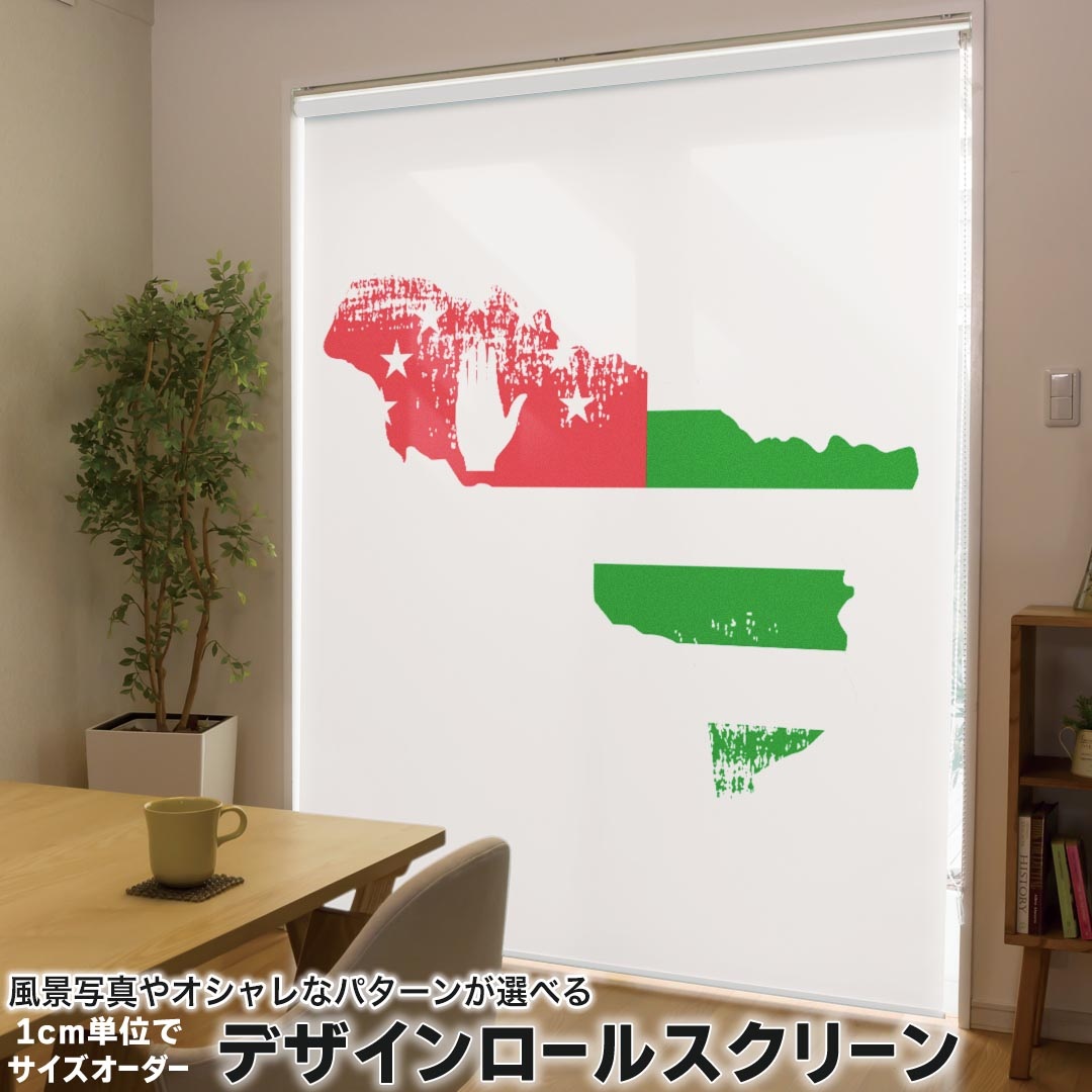 1cm単位サイズオーダー ロールスクリーン ロールカーテン オーダーメイド タチカワ 日本製 間仕切り カーテン 採光 非遮光 目隠し UVカット カーテンレール チェーン式 プル式 018751 国旗 abkhazia アブハジア