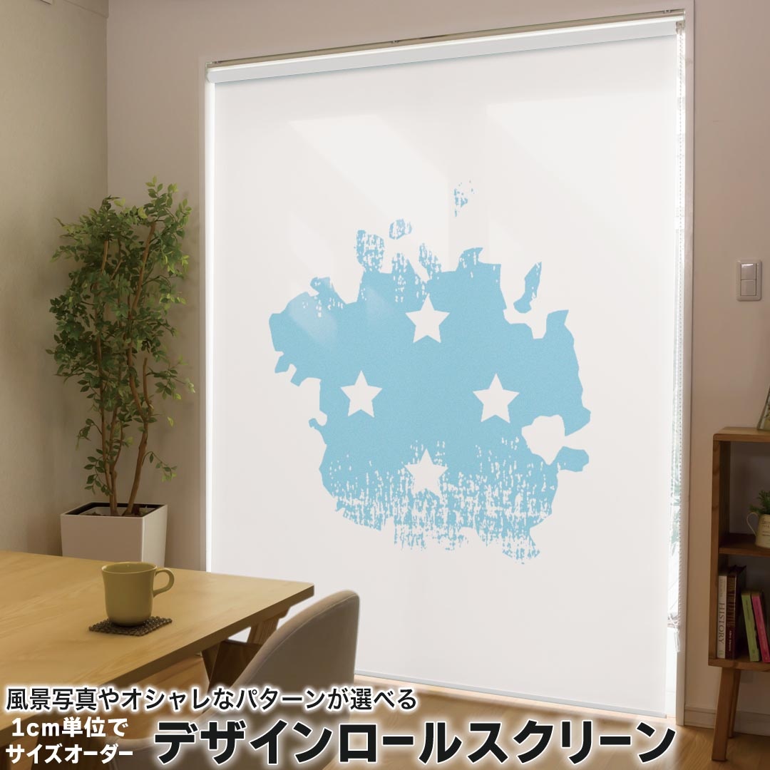 1cm単位サイズオーダー ロールスクリーン ロールカーテン オーダーメイド タチカワ 日本製 間仕切り カーテン 採光 非遮光 目隠し UVカット カーテンレール チェーン式 プル式 018811 国旗 micronesia ミクロネシア