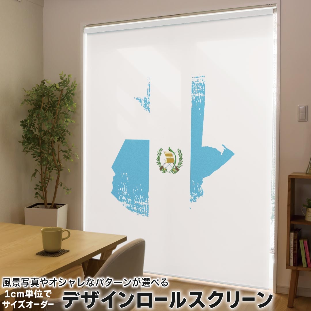 1cm単位サイズオーダー ロールスクリーン ロールカーテン オーダーメイド タチカワ 日本製 間仕切り カーテン 採光 非遮光 目隠し UVカット カーテンレール チェーン式 プル式 018840 国旗 guatemala グアテマラ