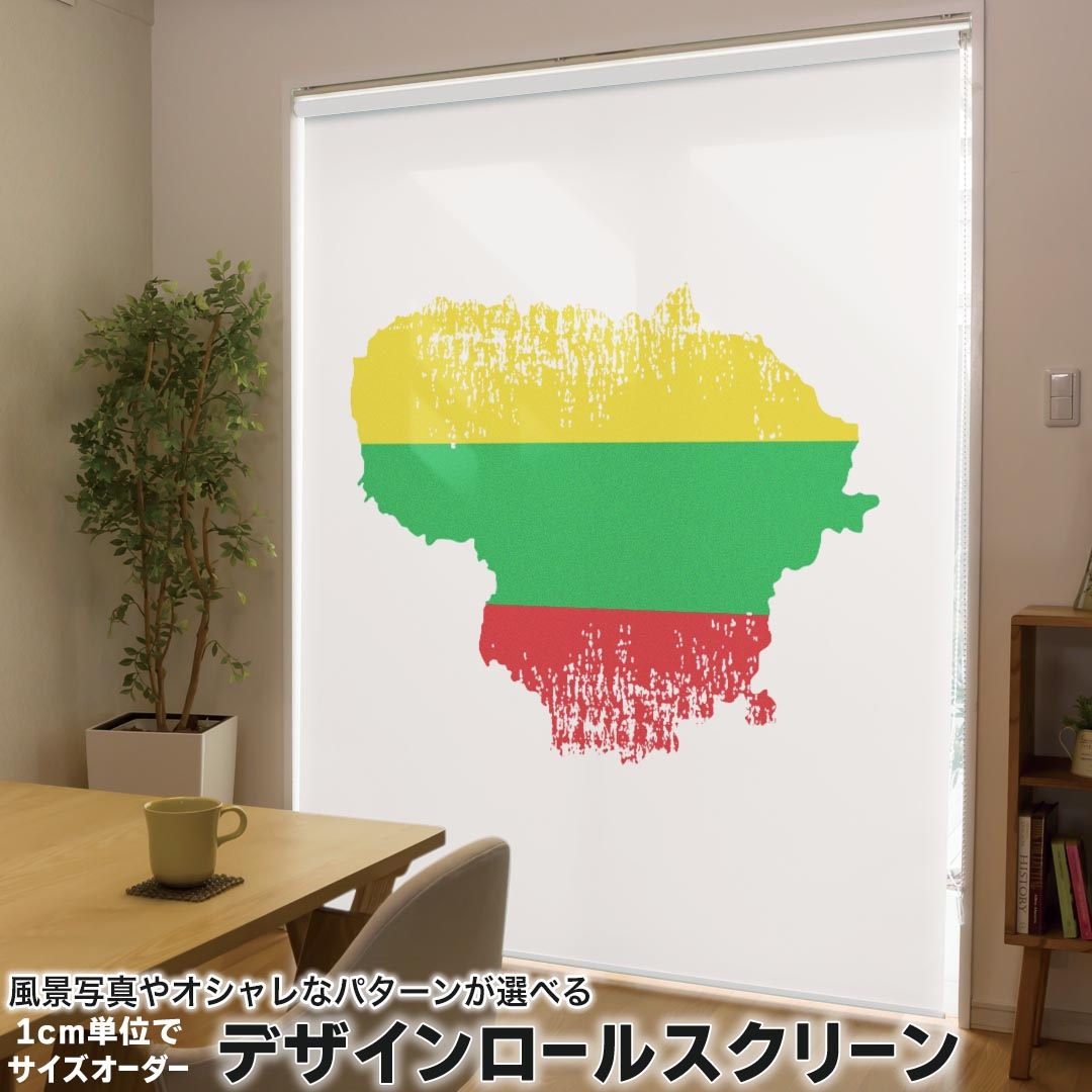 1cm単位サイズオーダー ロールスクリーン ロールカーテン オーダーメイド タチカワ 日本製 間仕切り カーテン 採光 非遮光 目隠し UVカット カーテンレール チェーン式 プル式 018874 国旗 lithuania リトアニア