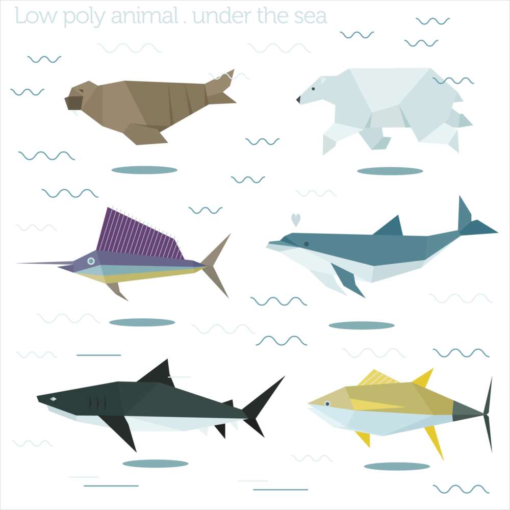 楽天市場 海の生物 シール式ウォールステッカー 魚 Fish Sea クジラ くじら イルカ いるか アクアリウム シャチ 飾り 90 90cm 剥がせる カッティングシート Wall Sticker 雑貨 Kabeコレ
