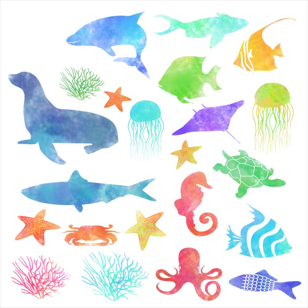 楽天市場 海の生物 シール式ウォールステッカー 魚 Fish Sea クジラ くじら イルカ いるか アクアリウム シャチ 飾り 90 90cm 剥がせる カッティングシート Wall Sticker 雑貨 Kabeコレ