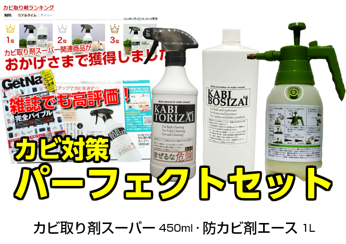 日本製 楽天市場 パーフェクトセット カビ取り剤 防カビ剤 セットカビ取り ジェル スプレー カビ防止スプレー 防カビ 業務用 カビ予防 カビ防止 カビ対策 お風呂 浴室 部屋 洗面所 カビ取り カビ屋 日本最大級 Advance Com Ec