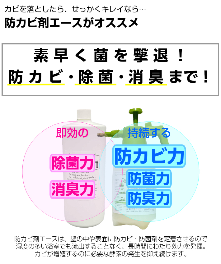 日本製 楽天市場 パーフェクトセット カビ取り剤 防カビ剤 セットカビ取り ジェル スプレー カビ防止スプレー 防カビ 業務用 カビ予防 カビ防止 カビ対策 お風呂 浴室 部屋 洗面所 カビ取り カビ屋 日本最大級 Advance Com Ec