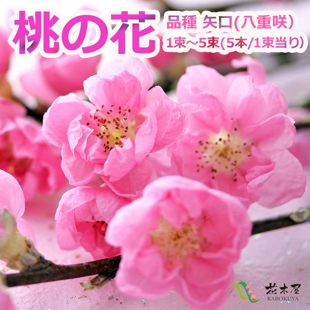 【特価お得】ひな祭り 桃の花リース お値下げ2700→2400円 雛人形・ひな祭り