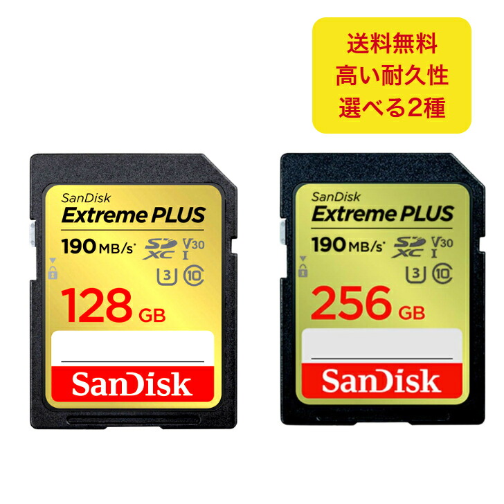 サンディスク SanDisk Extreme PLUS SDXC UHS-I歌留多 128・256GB SDSDXWA-128G-JNJIP SDSDXWA-256G-JNJIP SD歌留多