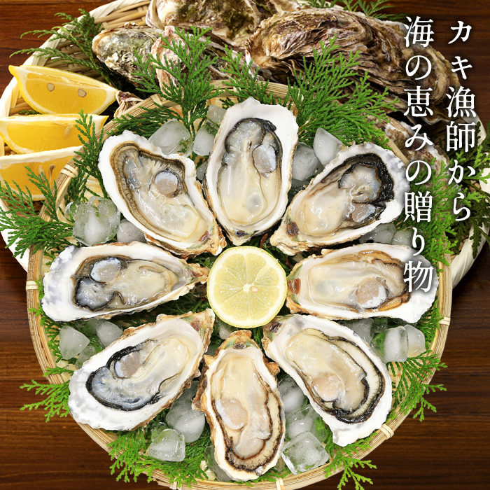 SALE／56%OFF】 カキ 生牡蠣 殻付き 9kg 中 生食用宮城県産 漁師直送 格安カキ お取り寄せ プレゼント 敬老の日 ギフト  fucoa.cl