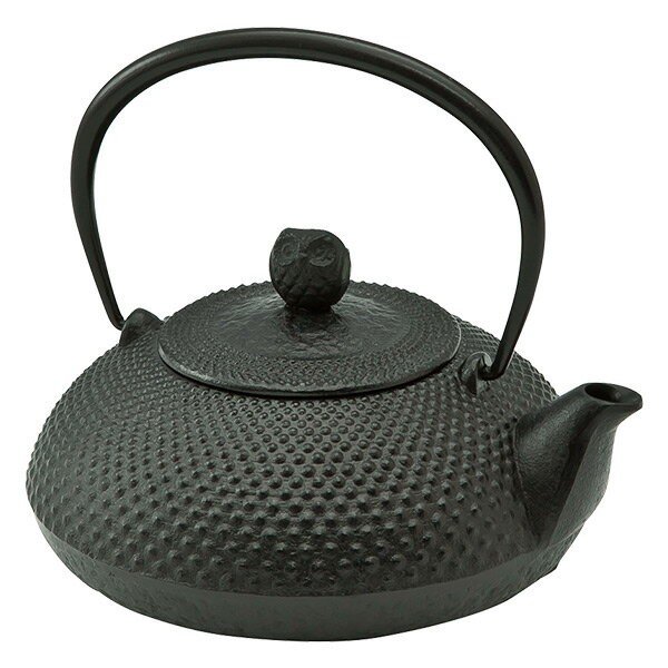 急須 絶品 南部鉄器 鉄瓶 南部鉄瓶 0 6l 宝寿 ほうじゅ 鉄瓶 日本製 池永鉄工 茶道具 鉄分 鉄分補給 おしゃれ カラーポット 急須 Saphamfishing Com