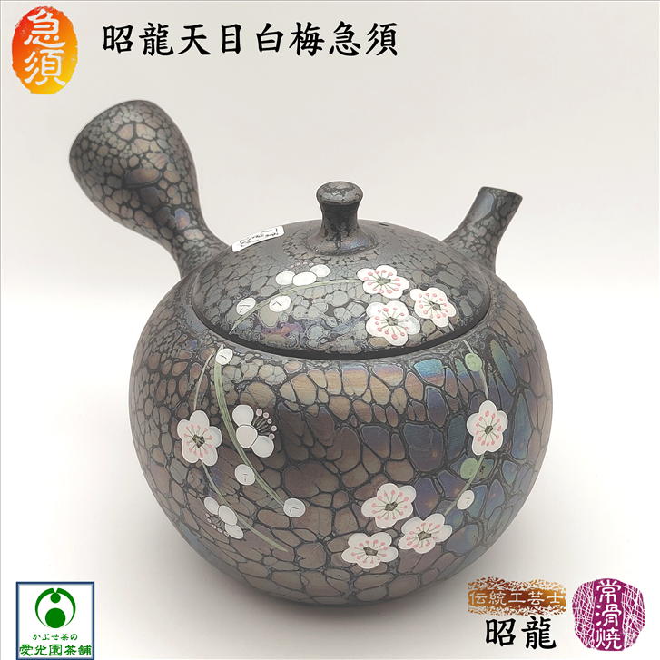 三重県水沢茶\u003cSUIZAWA\u003eの茶の葉とは？