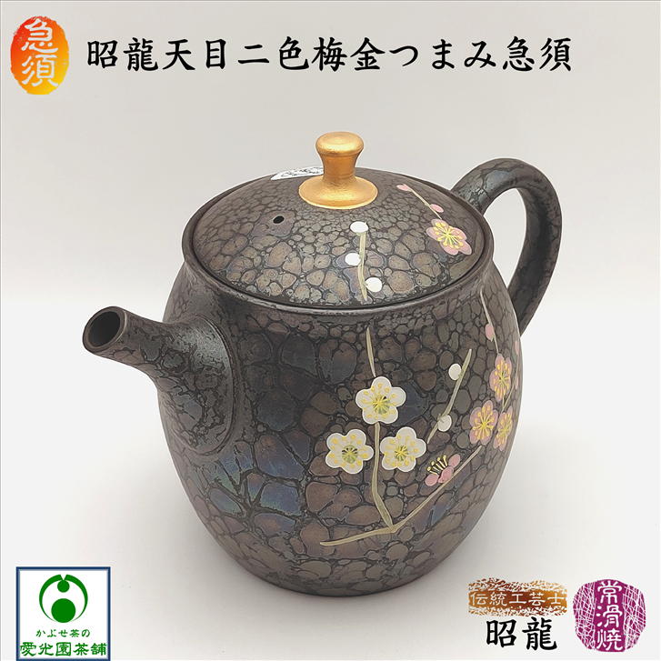 三重県水沢茶\u003cSUIZAWA\u003eの茶の葉とは？