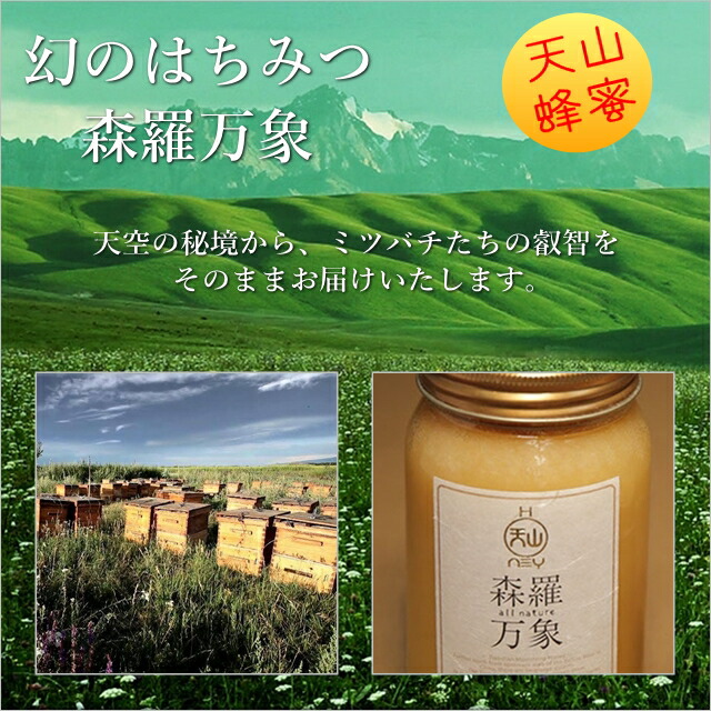 送料無料！森羅万象　天山蜂蜜  大瓶 600g