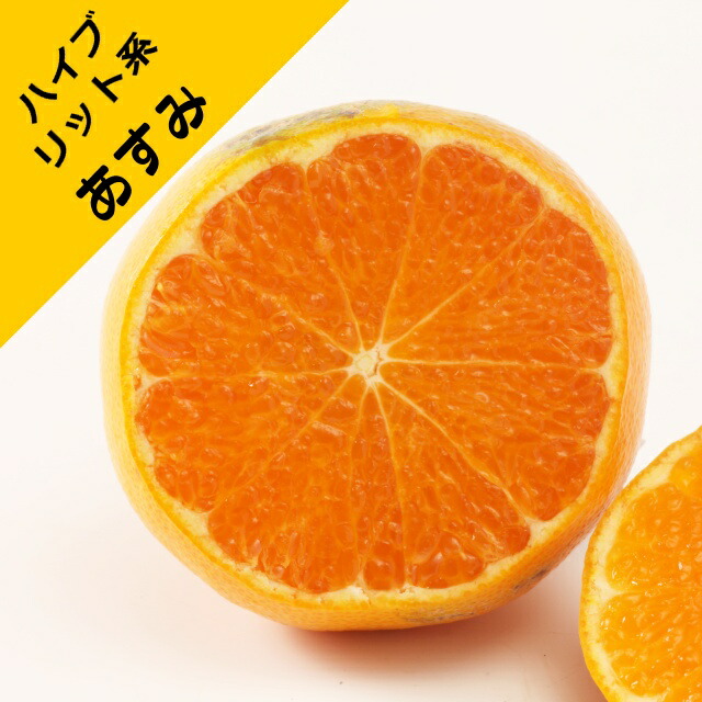【楽天市場】【ハイブリッド系柑橘ミカン属】あすみ(接木苗)12cmロングポット※登録品種:産直花だん屋