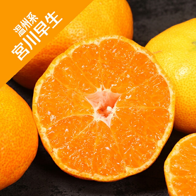 ハヤトウリ11Kg Amazon.co.jp: ハヤトウリ（隼人瓜）の種（5粒） : DIY・工具