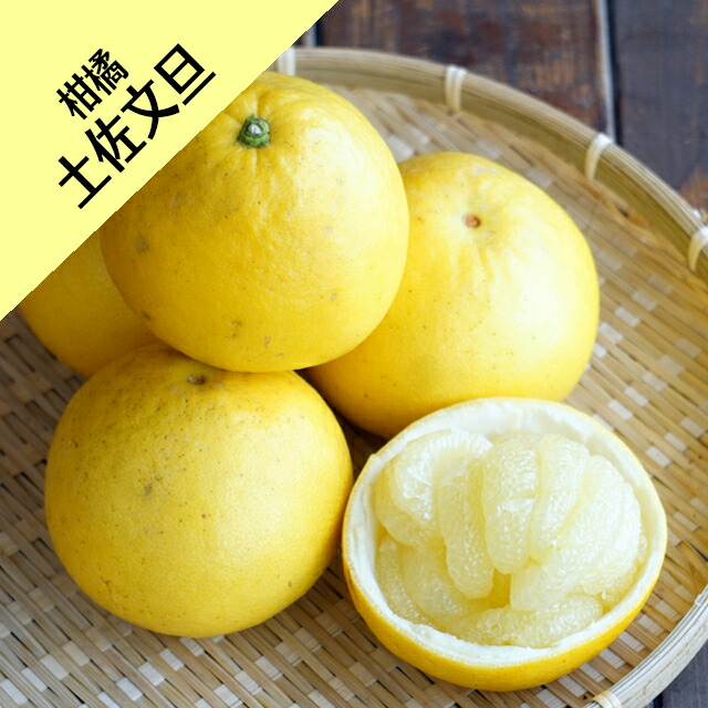ルブの森★さま専用 土佐文旦 4年生 苗木 結実実績あり 土佐文旦 4年生 苗木 実つき！ - メルカリ