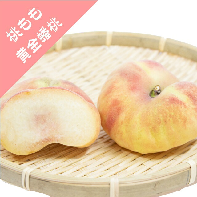 送料無料【モモ属】 桃　黄金蟠桃 （接木苗）5号ポット