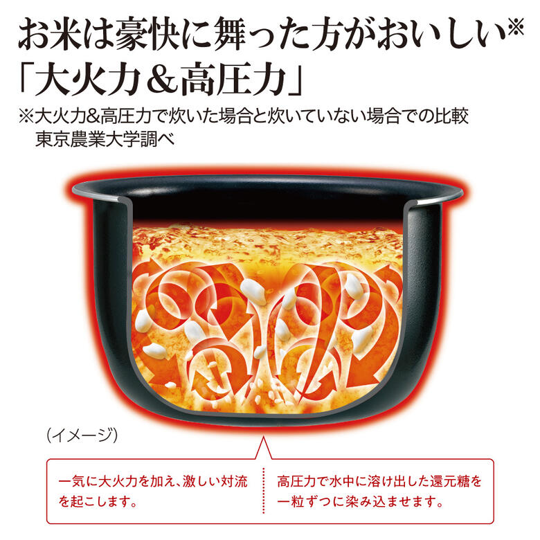 薄色西部土竜