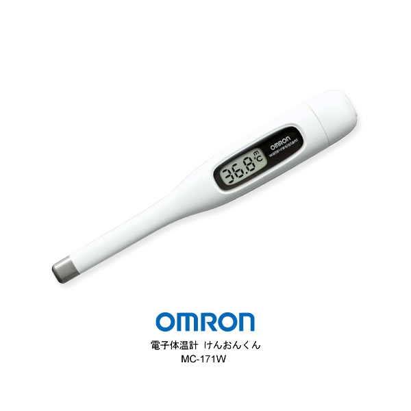 売れ筋がひ新作! ホットシートマッサージャー HOT BEAT EM-2538BR ブラウン 6349-032 景品 記念品 マッサージ器 シートマッサージ器 マッサージ ツインバード ホットシートマッサージャーHOT BEAT ブラウン 6349-032